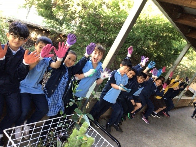 /uploaded_files/media/gallery/1659660604plant 3.jpg